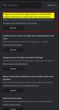 4 cách tắt tính năng Tìm kiếm hình ảnh Google Lens trong Chrome