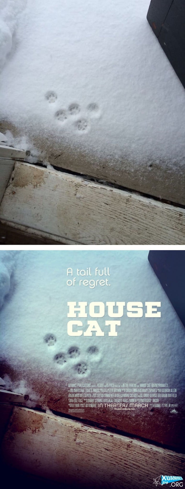 Ngôi nhà của mèo