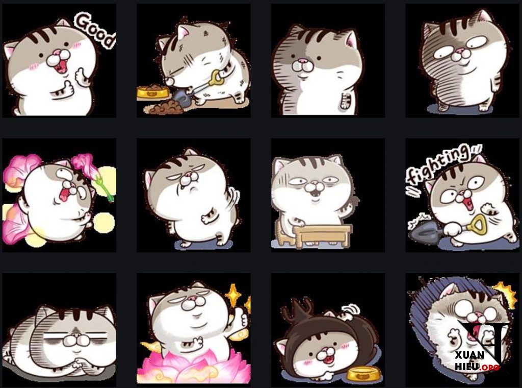 Tổng hợp Emotion và Icon 'Ami mèo mập' Full đầy đủ nhất