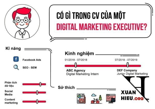 Cv Digital Marketing