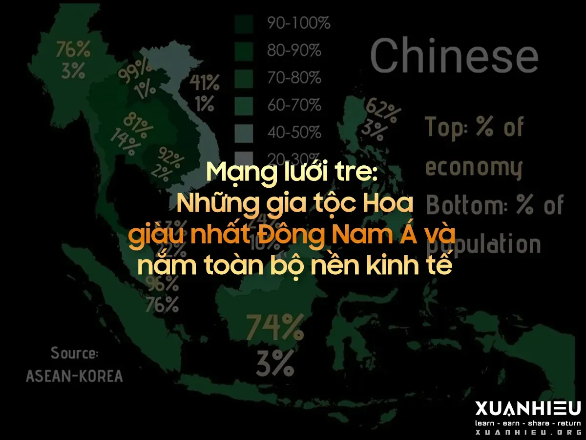 Gia tộc Người Hoa ở Đông Nam Á Full – từ sự giàu có của Trương Mỹ Lan