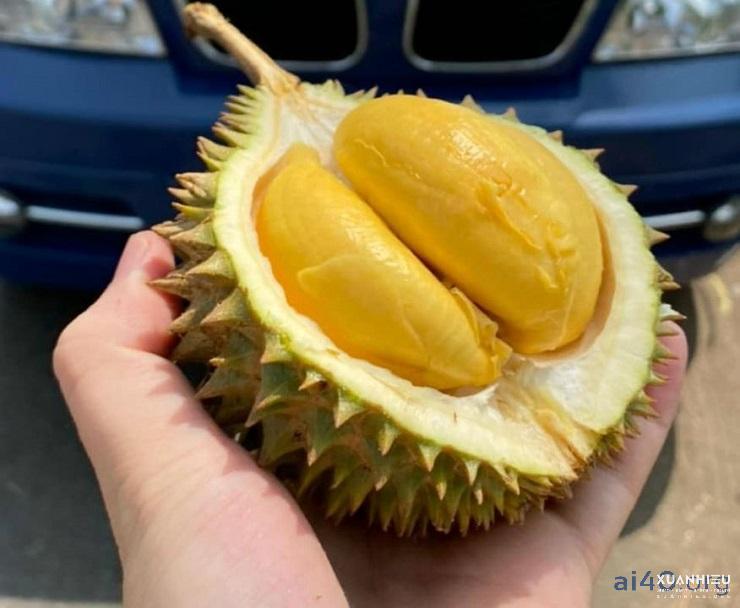 Sầu riêng Thái Lan: Từ món ăn Hoàng Gia đến trào lưu ẩm thực thế giới!
